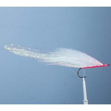 Streamer JMC Broc 10 H4/0