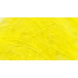 Plume CDC Petitjean Light Yellow