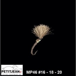 Petitjean MP 46