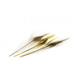 Quill de Paon Ebarbe Mouches Devaux Mixte