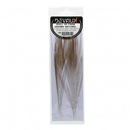 Quill de Paon Ebarbe Naturel Mouches Devaux