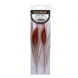 Quill de Paon Ebarbe Rouge Mouches Devaux