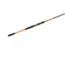 Canne casting BFT Instinct 7'6''