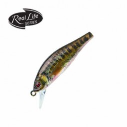 Flat Phoxy Minnow HW 50 S RL07