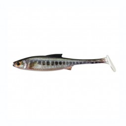 Leurre souple Stucki Fishing Real Rider Paddle Tail 7 cm Vairon