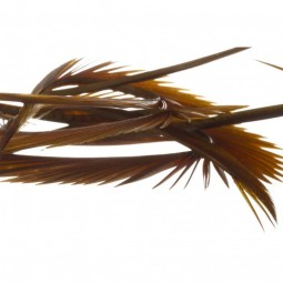Veniard Goose Biots Dark Brown