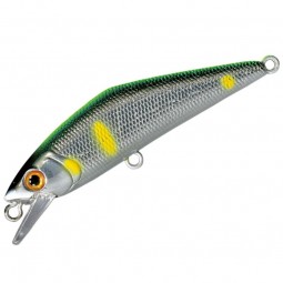 Poisson nageur Smith D-Contact 63 47