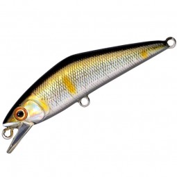 Poisson Nageur Smith D - Contact 72 17