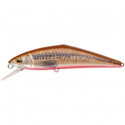 Poisson Nageur Smith D - Contact 72 V3