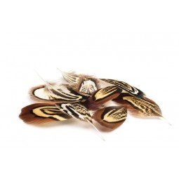 Plume Faisan Mouches Devaux