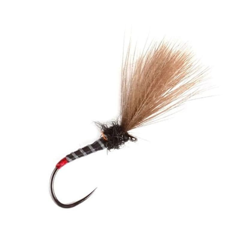 Émergente Guideline Black Holotag Shuttlecock