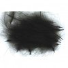 Plume CDC Petitjean 1 g Noir