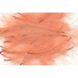 Plume CDC Petitjean 1 g Rose