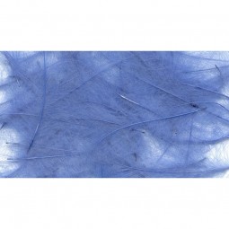 Plume CDC Petitjean 1 g Blue Fluo