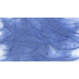 Plume CDC Petitjean 1 g Blue Fluo