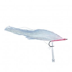 Streamer JMC Broc 10 H4/0