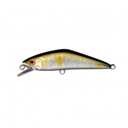 Poisson Nageur Smith D - Contact 72 17