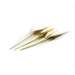 Quill de Paon Ebarbe Mouches Devaux Mixte