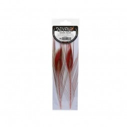 Quill de Paon Ebarbe Rouge Mouches Devaux
