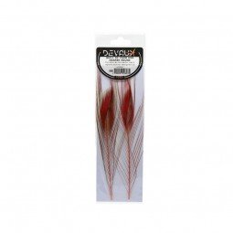 Quill de Paon Ebarbe Rouge Mouches Devaux