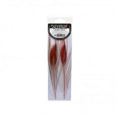 Quill de Paon Ebarbe Rouge Mouches Devaux