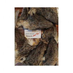 Oreille de Chevreuil Aux Plumes d'or Elle