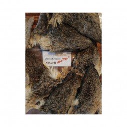 Oreille de Chevreuil Aux Plumes d'or Elle