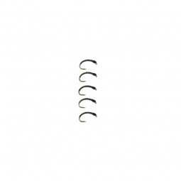 Gambe à Féra Passion 9