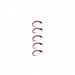 Gambe à Féra Passion 39