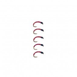 Gambe à Féra Passion 39