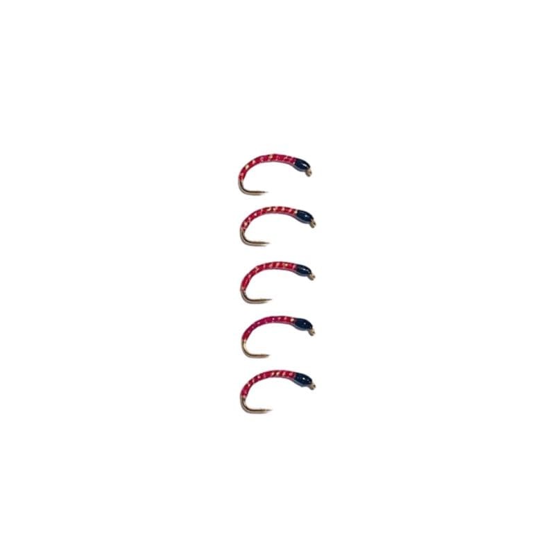 Gambe à Féra Passion 39