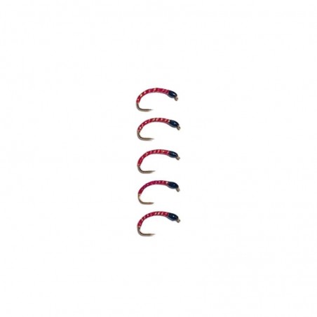 Gambe à Féra Passion 39