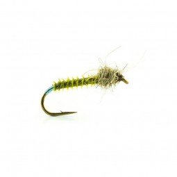 Chiro Mouches Devaux JBC 07