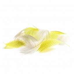 Mouches Devaux Plumes Flanc de Canard D'été