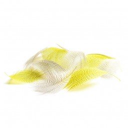 Mouches Devaux Plumes Flanc de Canard D'été