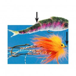 Shank Articulé Traun River démo