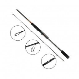 Canne Spinning Favorite Totem