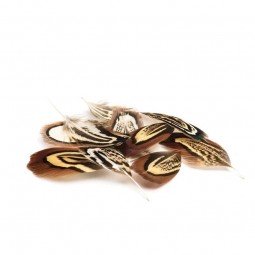 Plumes Faisan Mouches Devaux