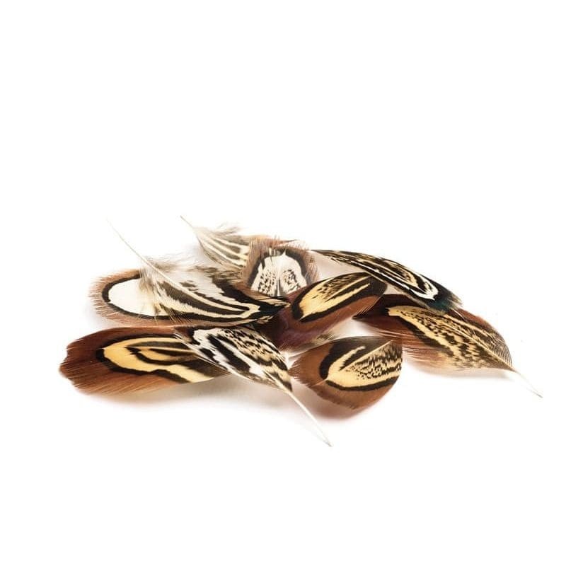 Plumes Faisan Mouches Devaux