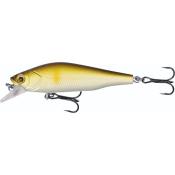 Poisson Nageur Truite - Stucki Quarry