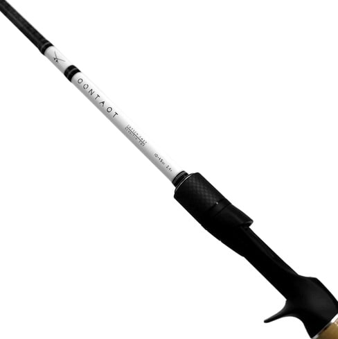 Canne à pêche casting Big Bait
