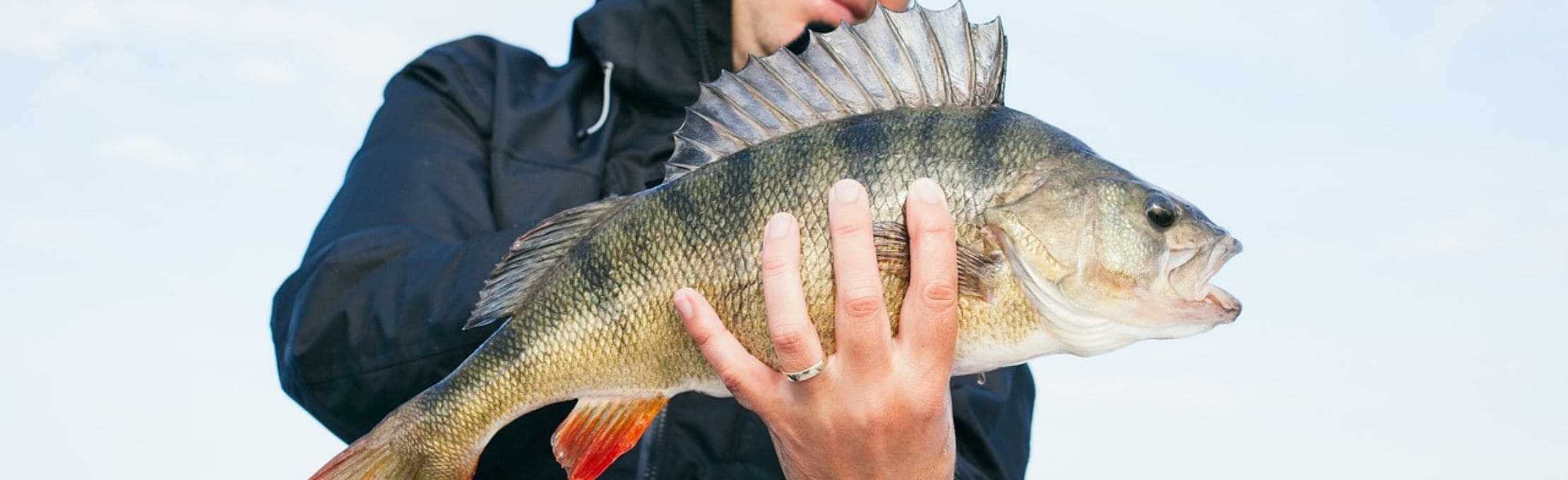 Pêche à la mouche - Guideline - Just-Fishing.ch