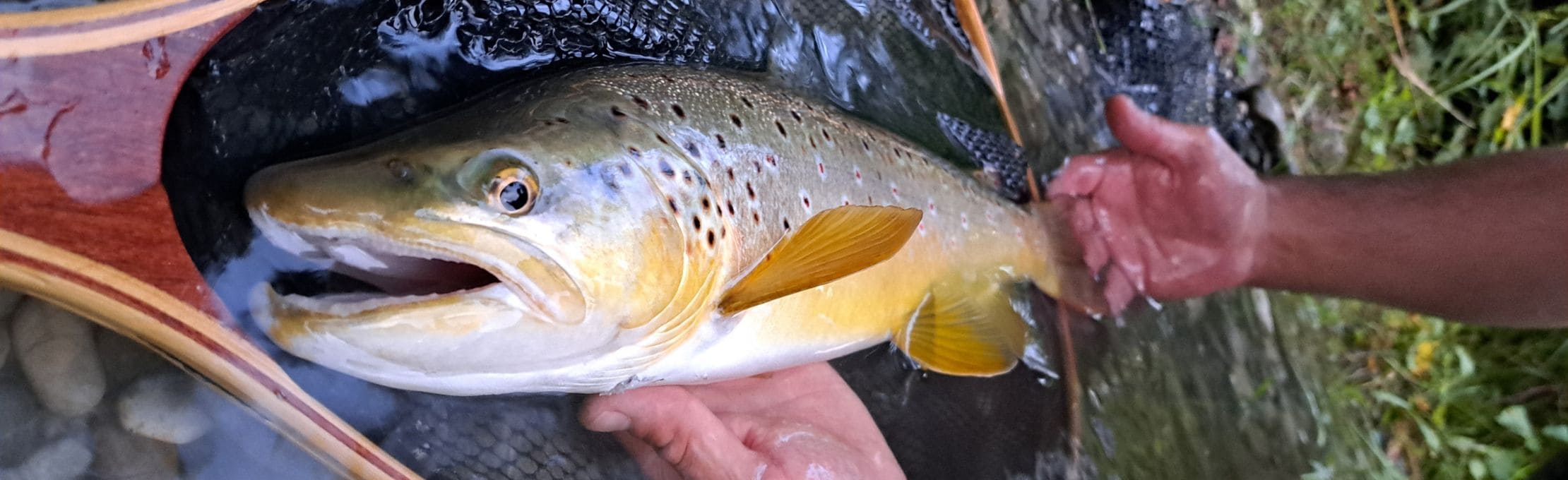 Pêche à la mouche - Guideline - Just-Fishing.ch