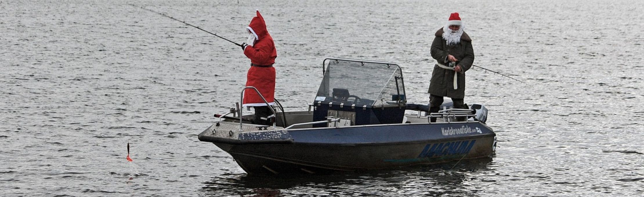 Pêche du Sandre - Rapala Crushcity