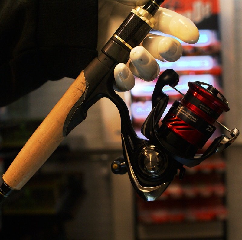 Canne à pêche spinning